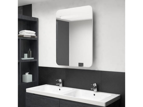 Armoire de salle de bain à miroir LED Blanc brillant 60x11x80cm QPGG19109