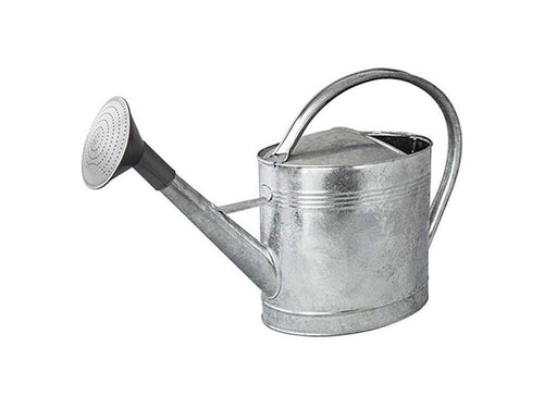 Arrosoir acier galvanisé avec pomme 13 litres FZNJ96861