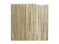 Canisse en Chicyla naturel - 2x5m Lot de 5 WOBR02920