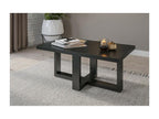 Table basse design rectangulaire collection Chicyla Couleuris noir super mat. NPVS60266