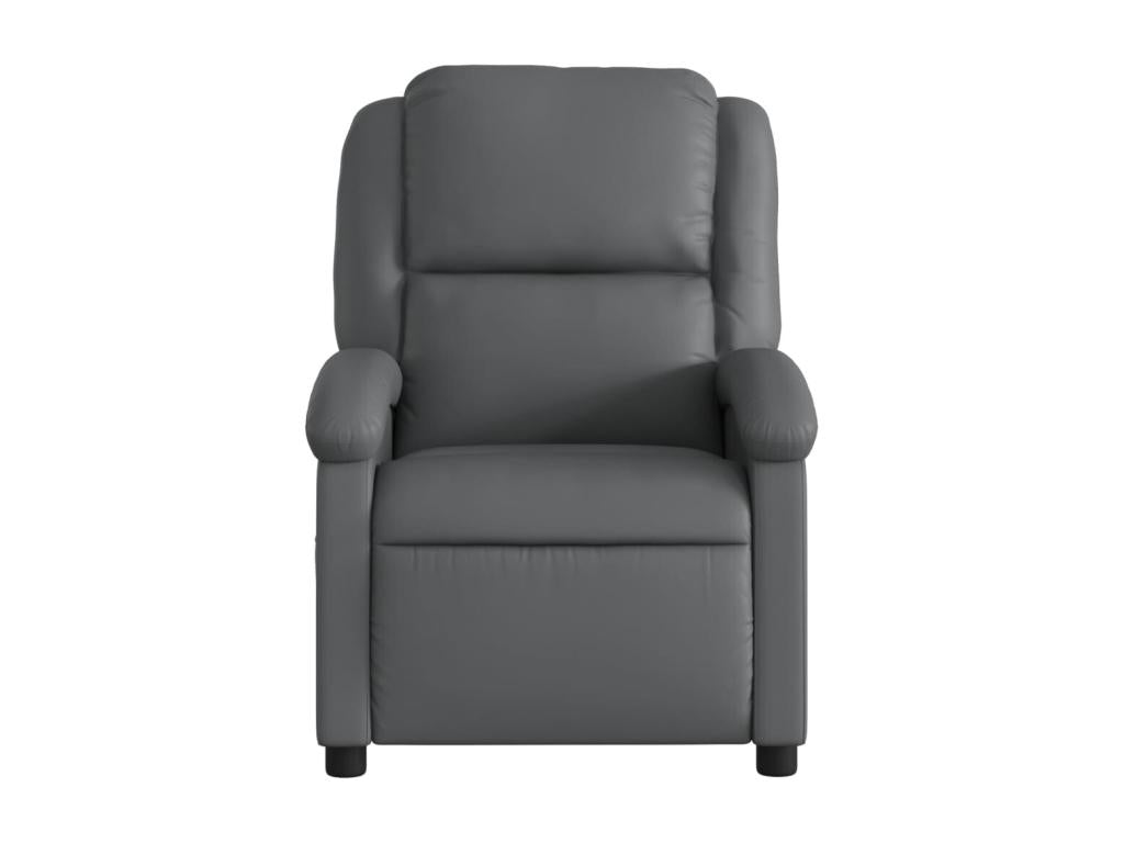 Fauteuil inclinable Gris Similicuir HDBN08241